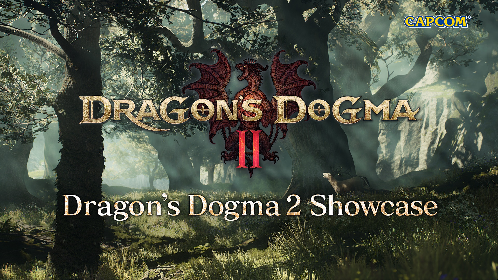 Dragon's Dogma 2 is hosting another showcase on November 28