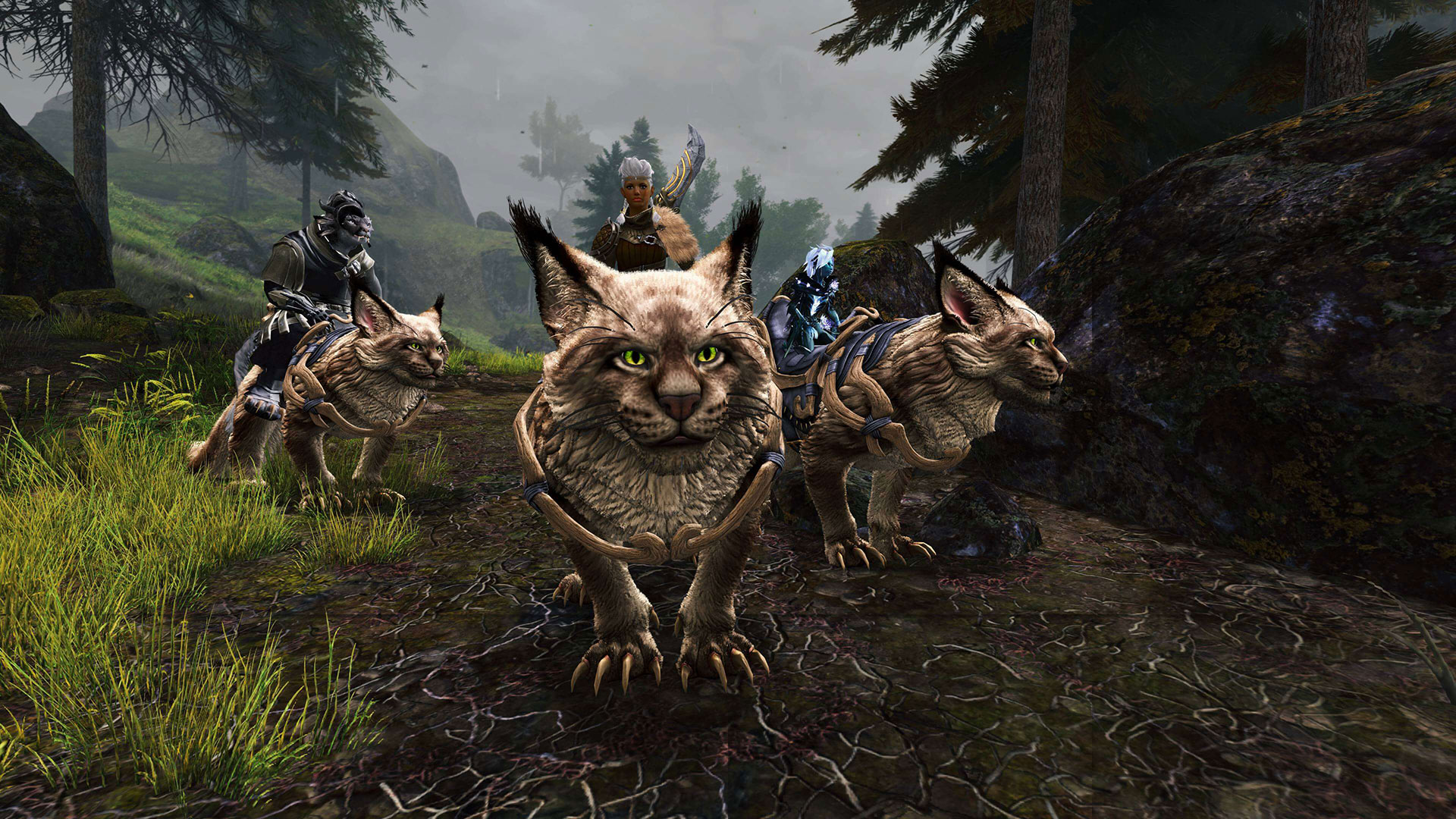 Guild Wars 2: Janthir Wilds launches on August 20