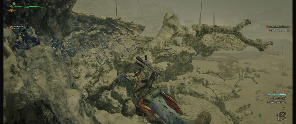 Monster Hunter Wilds Review Gallery, FullCleared